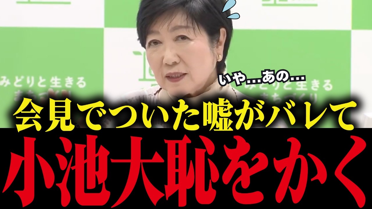 【小池百合子】小池、会見でついた嘘を専門家に暴かれ大恥をかく！【小池都知事 さとうさおり 都議会 カイロ大学 学歴詐称疑惑】