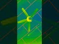 💚 This Green Fan Loop Looks Weirdly Satisfying ✨🔥 #shorts #ceilingfan #fyp