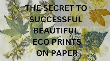 How to make eco print on paper | Eco dyeing | Eco printing | Crafty Patti