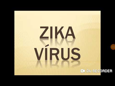 Vídeo: Cientistas Americanos: O Vírus Zika Em Breve Cobrirá Os Estados Unidos - Visão Alternativa