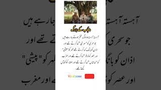 4 Timeless Quotes That Can Change the Way You See Life | Charlie Chaplin's Wisdom