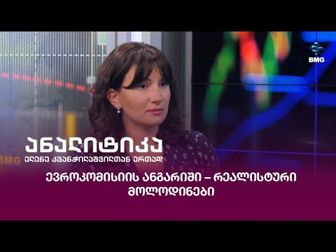 ევროკომისიის ანგარიში – რეალისტური მოლოდინები;