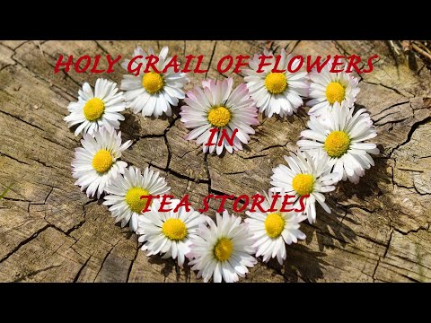 Видео: Dahlberg Daisy Information: Съвети за грижа за растенията Dahlberg Daisy