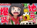 【ついに来た!!】コストコが滋賀に初上陸したから爆買いするしかないやんか！！