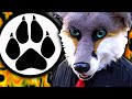 The furry extremists