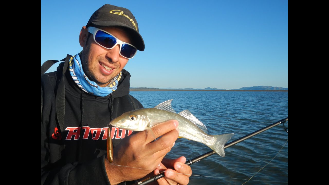How to catch WHITING on SURFACE LURES!! YouTube