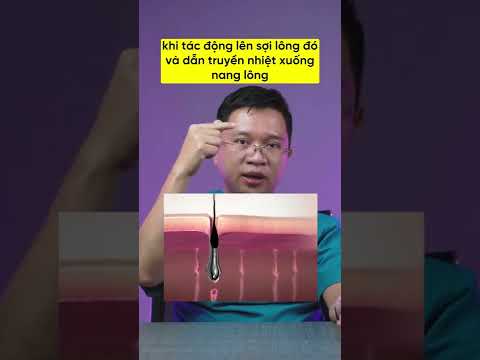 Video: Công ty con chỉ là một chi nhánh hay hơn thế nữa?