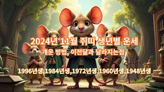 2024년 11월 쥐띠 생년별 운세 , 개운 방법, 이전달과 달라지는점