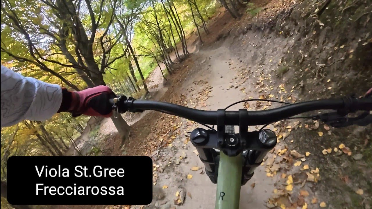 Viola St.Gree - Frecciarossa 13/10/2025