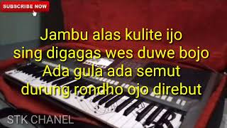 JAMBU ALAS ( Campursari Hits) KARAOKE DANGDUT KOPLO STK CHANEL