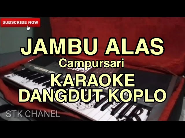 JAMBU ALAS ( Campursari Hits) KARAOKE DANGDUT KOPLO STK CHANEL class=