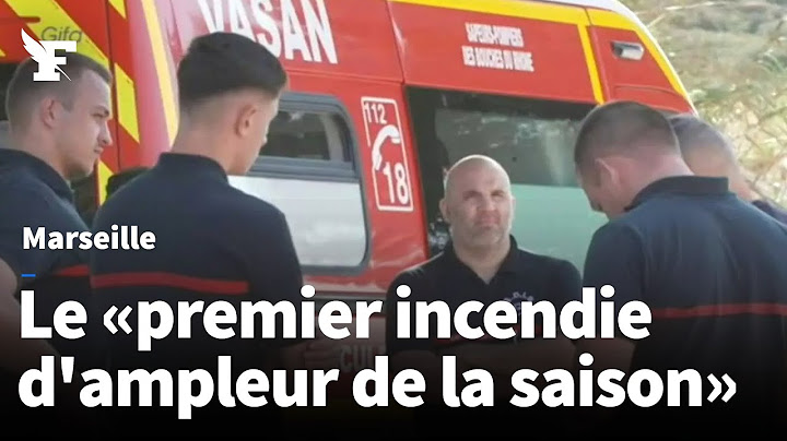 Marseille : le «premier incendie d'ampleur de la saison» déclaré dans la commune de Rove