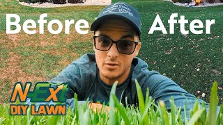 This N-Ext Cocktail Can SAVE Your LAWN!!! // N-Ext™ DIY Lawn Care Tips by N-Ext DIY Lawn 7,762 views 1 year ago 3 minutes, 27 seconds