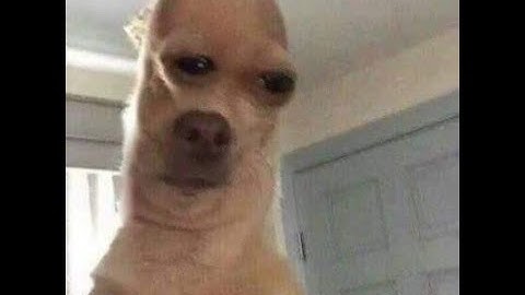 The Simpsons: Hit & Run (Donut Mod) Playthrough