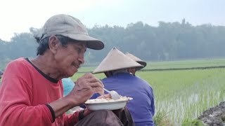Makan dan cerita susah senangnya PETANI di Sawah