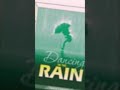 Inside the book(Dancing in the rain)Series 1 #booktube #booktok #1 #shorts