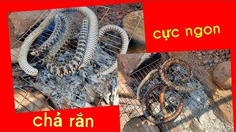 Trí Nguyễn_ cắm câu rắn nước cực kỳ đơn giản &  món chả rắn cực kỳ ngon