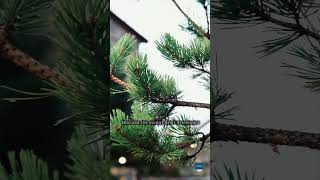 Ανακάλυψε τον Παλαιό Άγιο Αθανάσιο όπως δεν τον έχεις ξαναδεί.