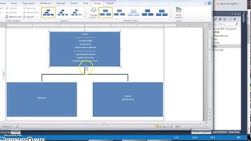 Zoo Video 1 Class Diagram