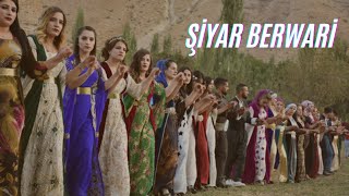 Şiyar Berwari - Gerdenzer Resimi