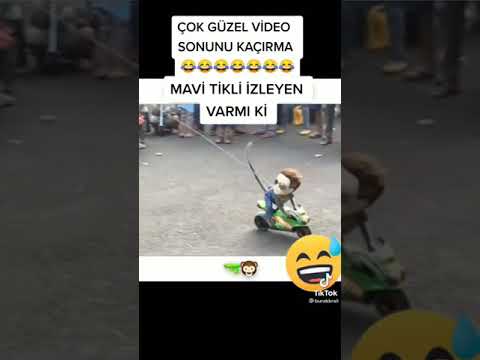 🐵 MOTOR SÜREN MAYMUN🐒