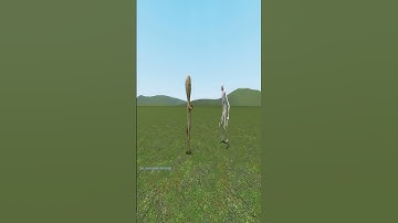 The Ultimate Fight: SCP-096 vs SCP-173!