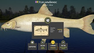картинка: 📢СТРИМ РР4🔥ВЕЧЕРРНЯЯ АХТУБА,ДОНЕЦ И МЕДВЕЖКА🔥РУССКАЯ РЫБАЛКА 4