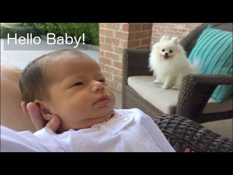 We had a Baby!