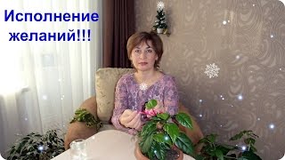 Как загадать желание.