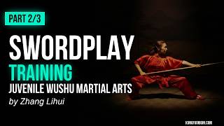Juvenile Wushu Series Swordplay by Zhang Lihui Chinese Kung Fu Training | Part 2/3 [DW073-08]
