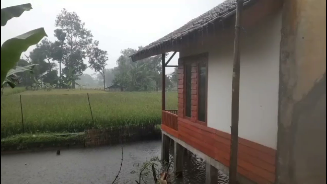 A house over a pond in a village, drenched by heavy rain and continuous thunder 