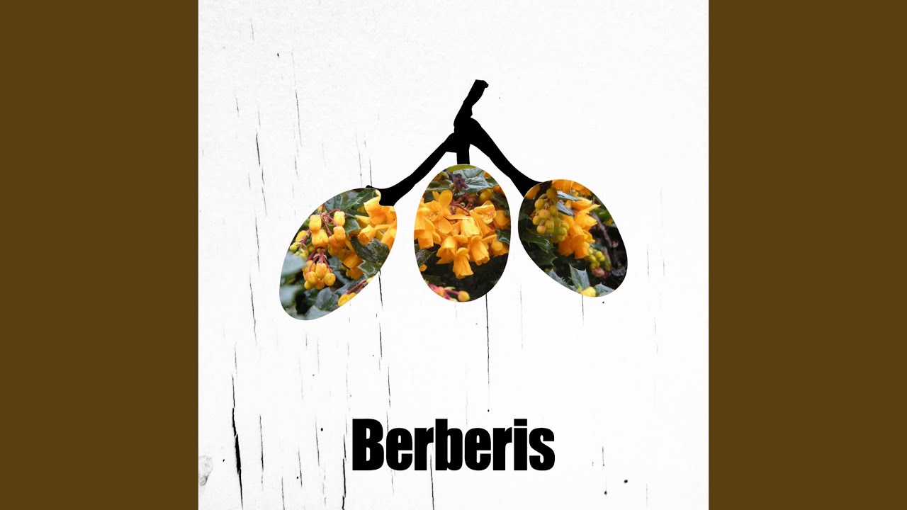 Beat As One (Original Mix)