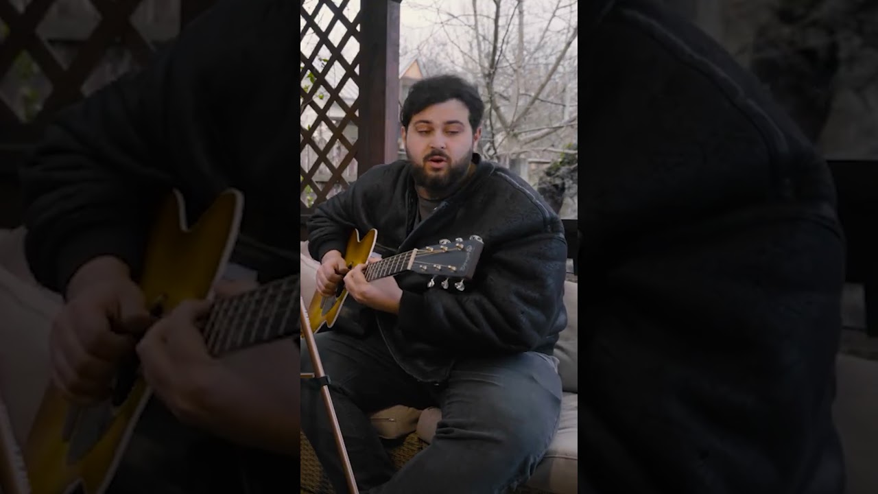 I Just Called to Say I Love You - Stevie Wonder (by Andrei Cerbu) #andreicerbu #steviewonder #shorts