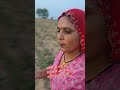 पडोसी की थोडी सी लापरवाही और बाजरे की फसल हुई खराब 🌾❌️ #reels #sorts #veel #kisan #tractor #farming