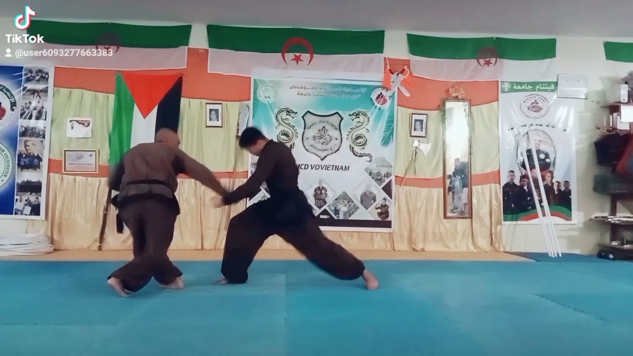 اخطر تقنيات السريه للفوفيتنام(2)