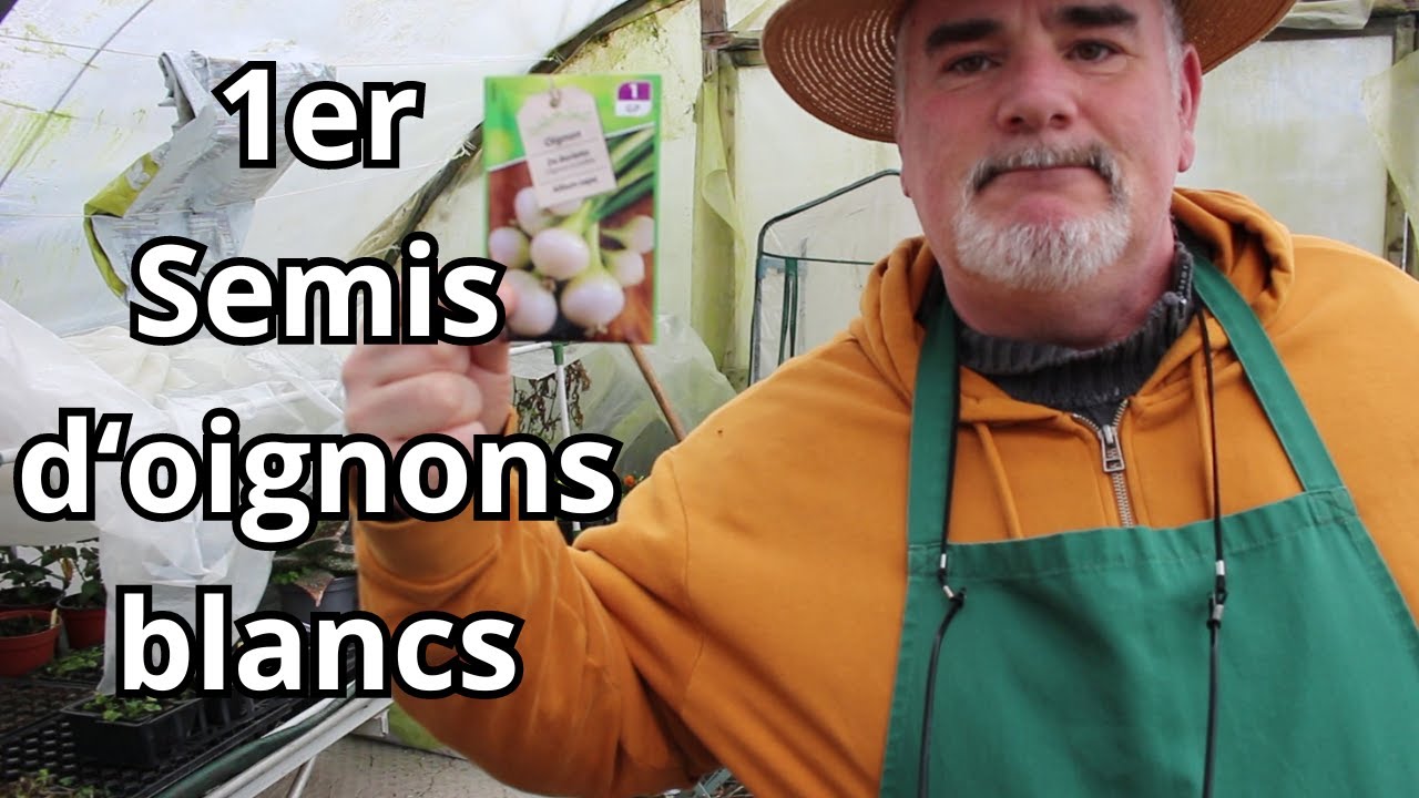 Premiers Pas : Lancement du Semis d'Oignons Blancs de printemps!