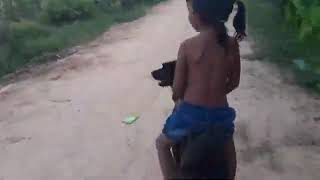 Kids Riding Dogs
