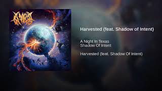 A Night In Texas - Harvested (feat. Shadow of intent)