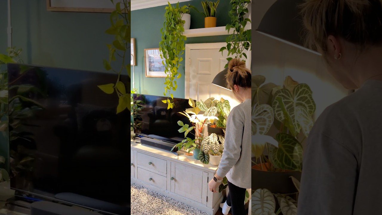 Morning routine turning on the grow lights 💚🌱💡 