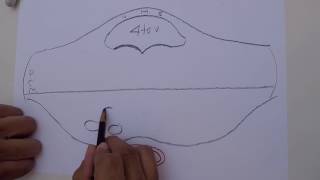 Protuberancia Interna - Neuroanatomía Rinco