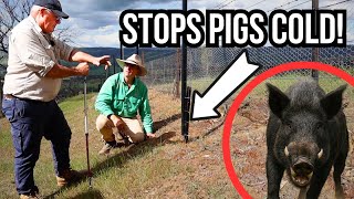 High-Tech Fencing That Stops Pigs, Roos & Deer Cold