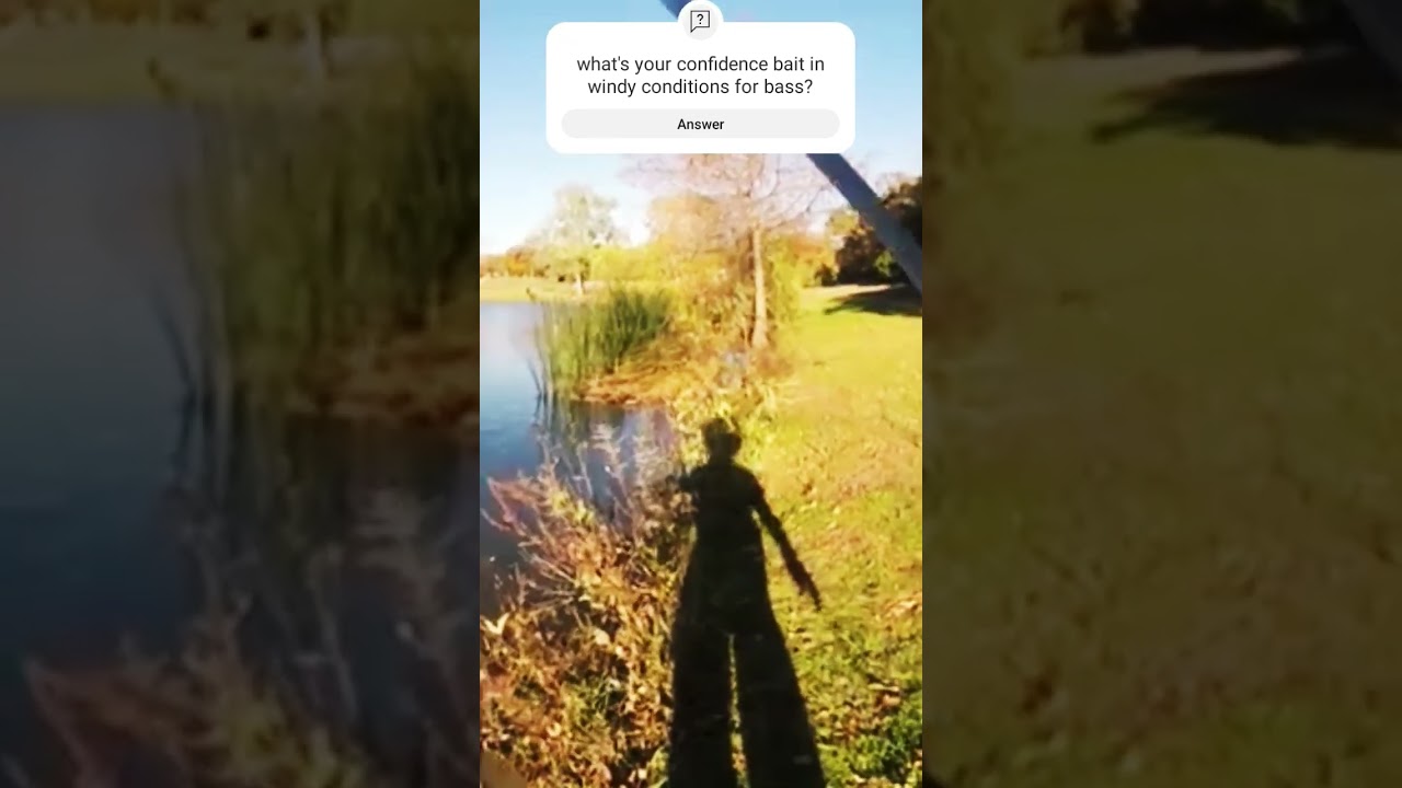 What's your confidence bait for bass in windy conditions? 