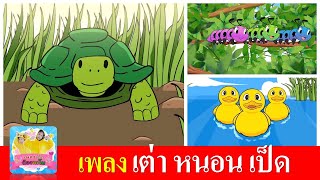 เพลงเด็ก เต่า หนอน เป็ด | เต่าเอ๋ยเต่า | หนอนผีเสื้อ | เป็ดอาบน้ำในคลอง | เพลงเด็กในตำนาน