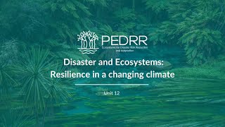 Unit 12 - Incorporating ecosystems in risk assessments