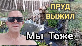 👉💯 ПРУД ИЗ ТЕПЛИЧНОЙ ПЛЁНКИ  / 120 микрон