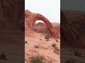 WONDERS OF NATIONAL PARK | The Best Places in National Park | Travel Video 4K