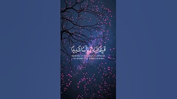 الحمدلله الذي أنزل | سورة الكهف 🍀🕋| من قرأ سورة الكهف في يوم الجمعة أضاء له من النور ما بين الجمعتين