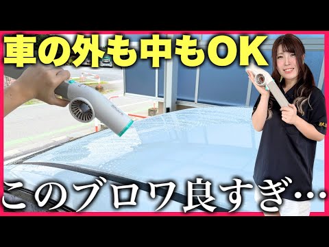 【洗車屋推奨】これからコードレスブロワを買う人はもうコレでいいです【SharkBlastBoss コードレスブロワー】