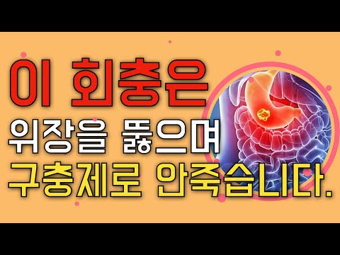 😆이 회충은 위장을 뚫고 다니며 구충제로도 죽지 않는 무서운 회충입니다. 원인 및 예방 방법 - 오늘도 건강!