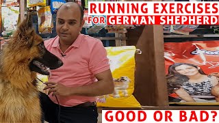 Running & Jumping Exercise for German Shepherd | Good or Bad | Baadal Bhandaari